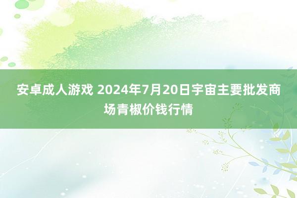 安卓成人游戏 2024年7月20日宇宙主要批发商场青椒价钱行情