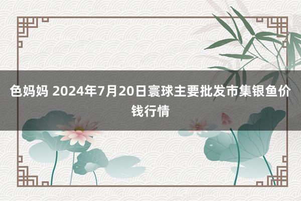 色妈妈 2024年7月20日寰球主要批发市集银鱼价钱行情