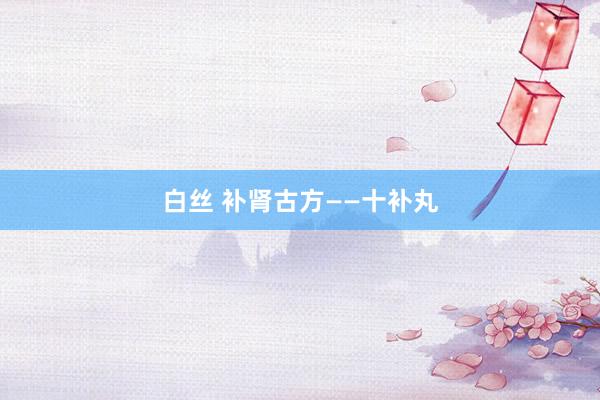 白丝 补肾古方——十补丸