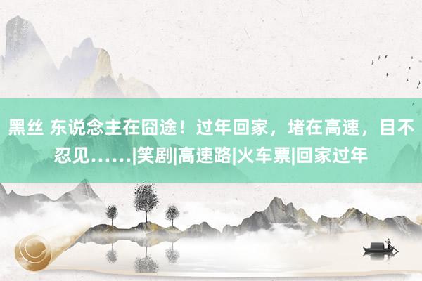 黑丝 东说念主在囧途！过年回家，堵在高速，目不忍见……|笑剧|高速路|火车票|回家过年