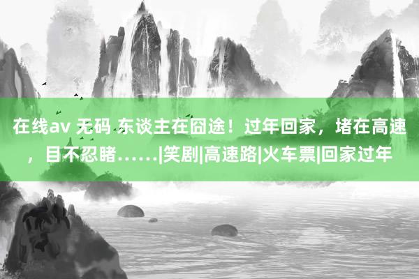 在线av 无码 东谈主在囧途！过年回家，堵在高速，目不忍睹……|笑剧|高速路|火车票|回家过年