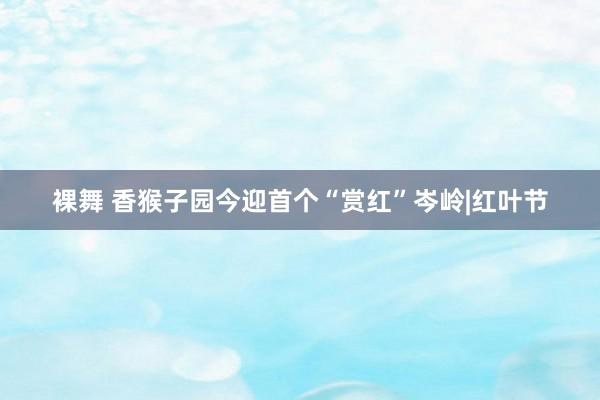 裸舞 香猴子园今迎首个“赏红”岑岭|红叶节