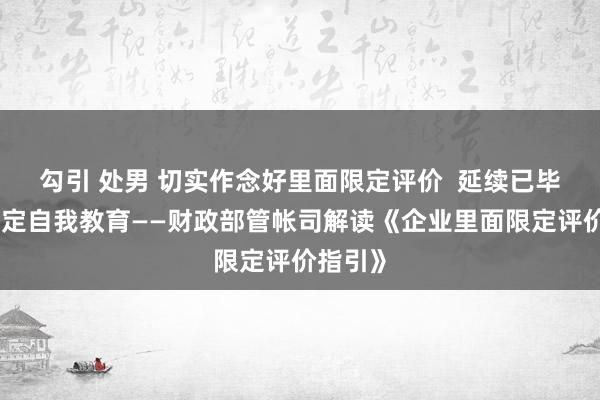勾引 处男 切实作念好里面限定评价  延续已毕里面限定自我教育——财政部管帐司解读《企业里面限定评价指引》