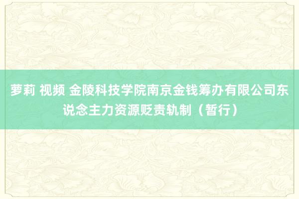 萝莉 视频 金陵科技学院南京金钱筹办有限公司东说念主力资源贬责轨制（暂行）