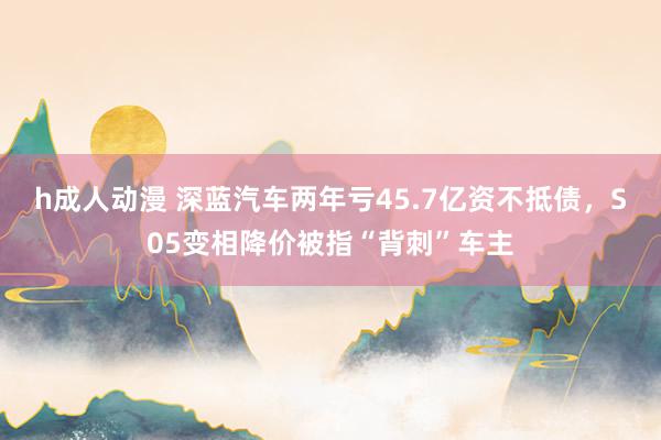 h成人动漫 深蓝汽车两年亏45.7亿资不抵债，S05变相降价被指“背刺”车主