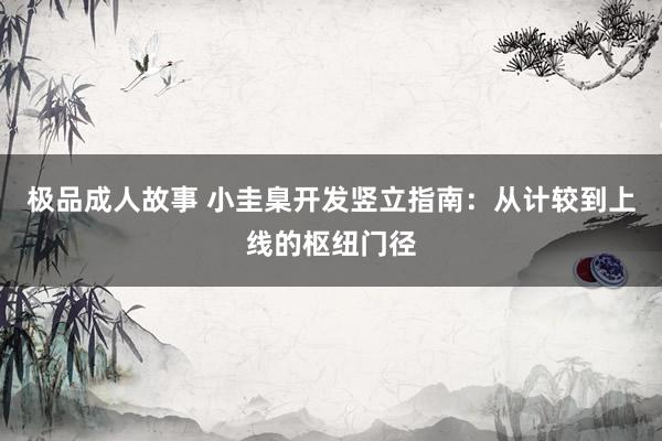 极品成人故事 小圭臬开发竖立指南：从计较到上线的枢纽门径