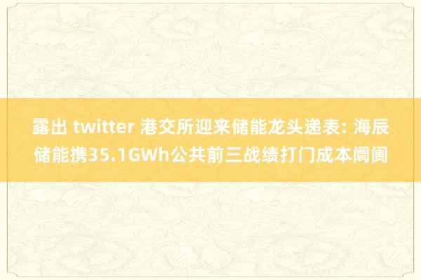 露出 twitter 港交所迎来储能龙头递表: 海辰储能携35.1GWh公共前三战绩打门成本阛阓